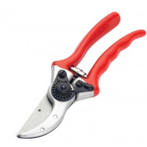 Secateurs