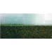 Grass Height Measuring Prism