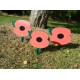 Poppy Signs & Packs