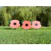 Poppy Signs & Packs